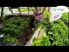 Hochleistungs-Kuka-Roboter-Arm-Systeme für Kr-DELTA Roboter, wenn der Verpacken7 Dof Arm behandelt wird