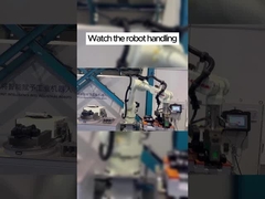 Ein tieferes Verständnis der Anwendungsfälle und Vorteile von ABB-Robotern